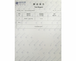 檢測報告